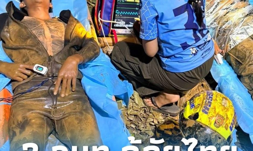 ข่าวด่วน!! ข่าวเศร้ายืนยันการเสียชีวิตของ… ดูเพิ่มเติม..