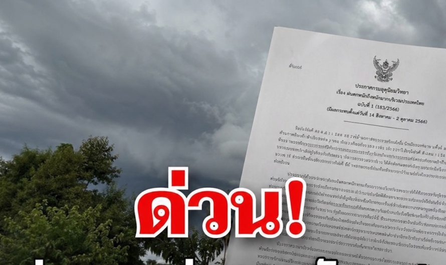 ด่วน! กรมอุตุฯ ประกาศฉบับที่ 1 ฝนตกหนักถึงหนักมาก เปิดรายชื่อจังหวัดสีแดง โดนหนักสุด…ดูเพิ่มเติม..