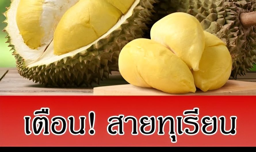สายทุเรียนต้องรู้!❗ เตือนอาหารที่ “ห้ามกินคู่ทุเรียน” เสี่ยงอันตรายกว่าที่คิด…ดูเพิ่มเติม