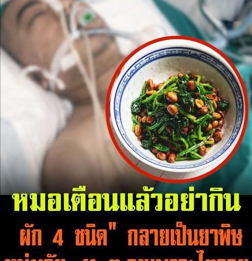 อ่านไม่ผิด “ผัก 4 ชนิด” ที่คิดว่าดีต่อสุขภาพ กลับกลายเป็นยาพิษ หนุ่มวัย 41 ต.ายเพราะไ.ตวาย หมอเตือนแล้วอย่ากิน…ดูเพิ่มเติม..