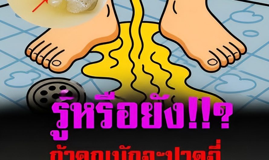 ถ้าคุณชอบปัสสาวะตอนอาบน้ำ นั่นอาจหมายความว่า ร่างกายกำลังส่งสัญญาณแบบนี้…ดูเพิ่มเติม..
